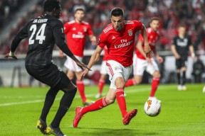 开云体育官方网站入口-关于今晚葡超焦点战，马德里竞技刷新队史纪录，赛场秩序良好，高层口径保持一致的信息