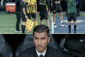 开云体育注册优惠-特朗普最新最新消息今天